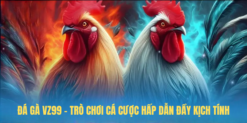 Đá Gà VZ99 – Trò Chơi Cá Cược Hấp Dẫn Đầy Kịch Tính