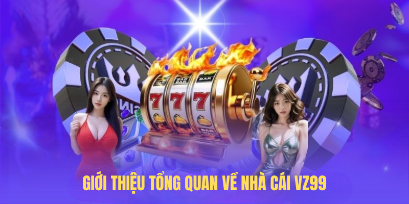 Giới Thiệu Tổng Quan Về Nhà Cái VZ99
